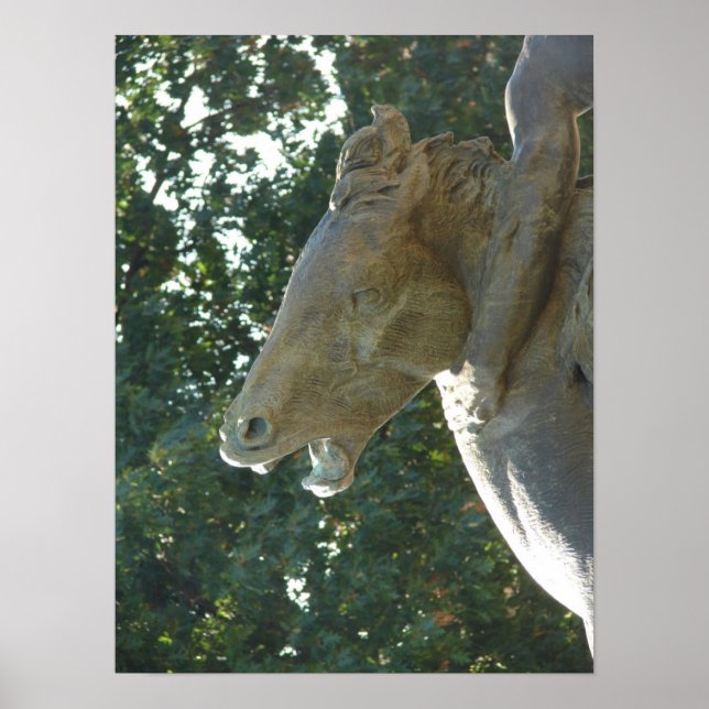 Ein Plaza Fountain - Pferd Poster (Vorne)