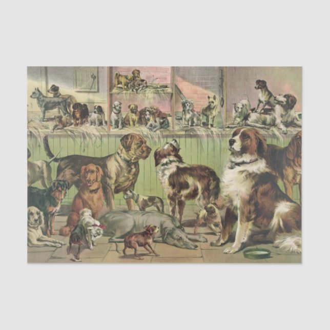 Ein Plethora Hunde-Gewebepapier Seidenpapier (Vorderseite)