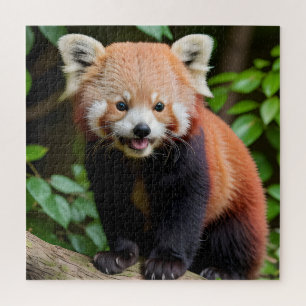 Ein Portrait eines Niedlichen roten Panda Puzzle