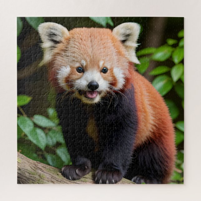 Ein Portrait eines Niedlichen roten Panda Puzzle (Vertikal)