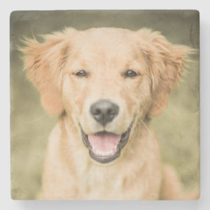 Ein Porträt eines golden retriever-Welpen Steinuntersetzer