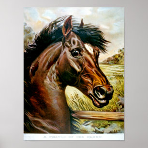 Ein Prinz der Blutdruckspur Poster