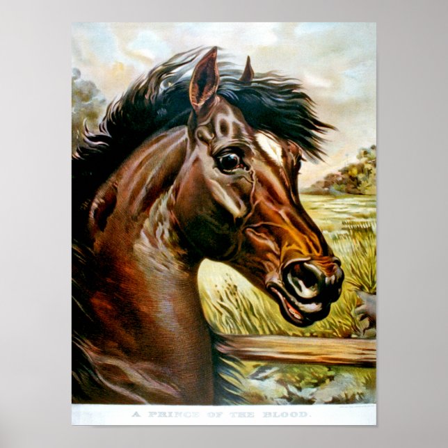 Ein Prinz der Blutdruckspur Poster (Vorne)