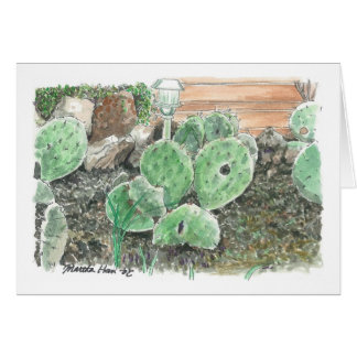 Ein privater Kakteen-Garten