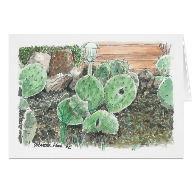 Ein privater Kakteen-Garten (Vorderseite (Horizontal))