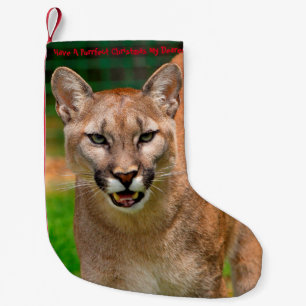 Ein purrfektes Weihnachten Kleiner Weihnachtsstrumpf