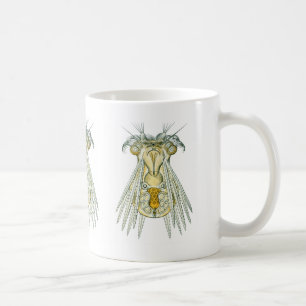 Ein Rädertier Kaffeetasse