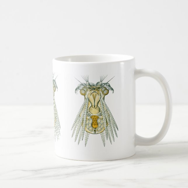 Ein Rädertier Kaffeetasse (Rechts)