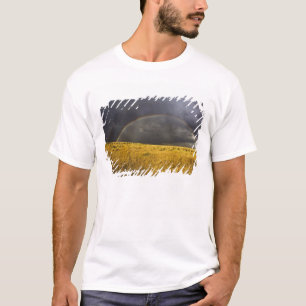 Ein Regenbogen erscheint durch einen nebligen Nach T-Shirt