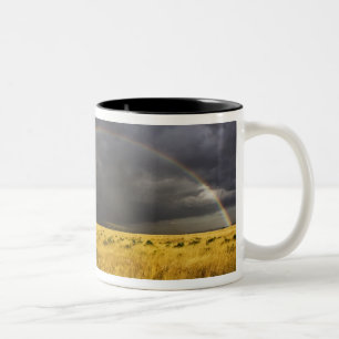 Ein Regenbogen erscheint durch einen nebligen Nach Zweifarbige Tasse
