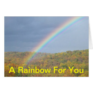 EIN REGENBOGEN FÜR SIE