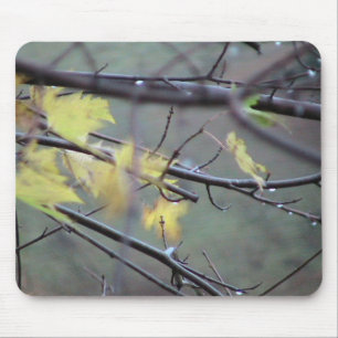 Ein regnerischer Morgen im Herbst (Fall) mit einem Mousepad