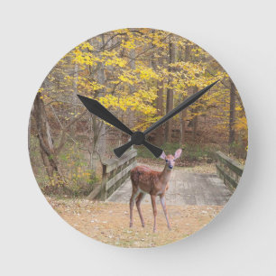 Ein Reh im Park Runde Wanduhr