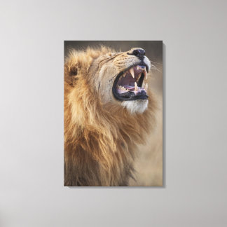 Ein reifer Löwe (Panthera leo) im Savuti Leinwanddruck