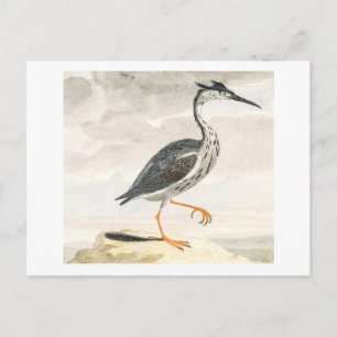 Ein Reiher von Johan Teyler Vintage-Vogelkunst Postkarte
