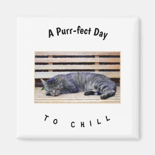 Ein reines Chill-to-Chill-Tag Magnet