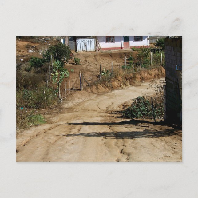 Ein reizender Tag in der Nachbarschafts-Postkarte Postkarte (Vorderseite)