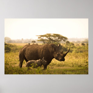 Ein Rhino mit ihrem Baby Poster