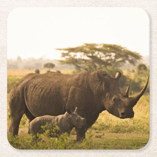 Ein Rhino mit ihrem Baby Rechteckiger Pappuntersetzer