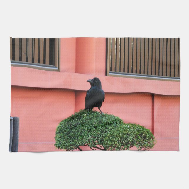 Ein riesiger Dschungel zieht sich auf einem Wolken Geschirrtuch (Horizontal)