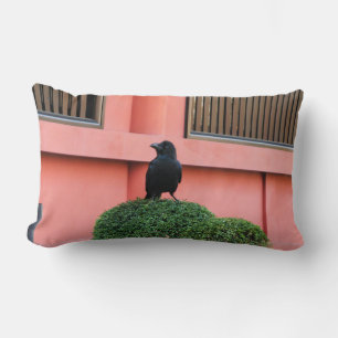 Ein riesiger Dschungel zieht sich auf einem Wolken Lendenkissen