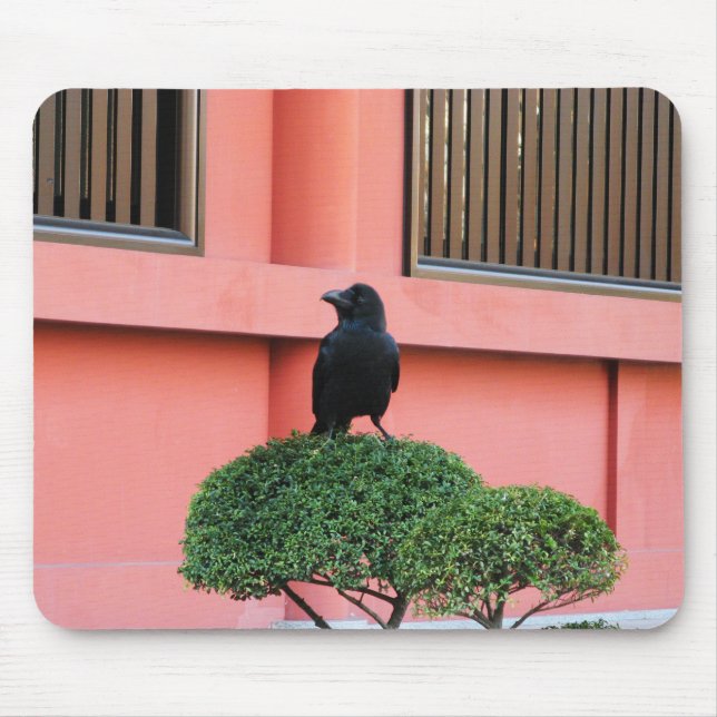 Ein riesiger Dschungel zieht sich auf einem Wolken Mousepad (Vorne)