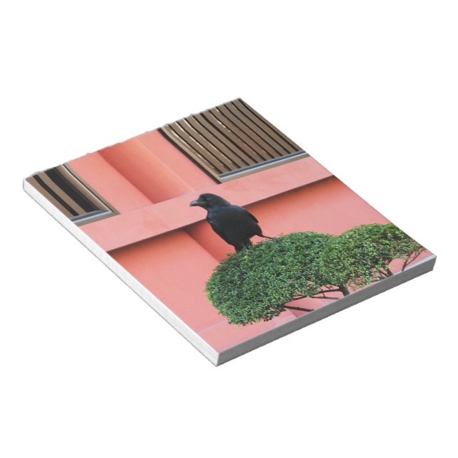 Ein riesiger Dschungel zieht sich auf einem Wolken Notizblock (angewinkelt)