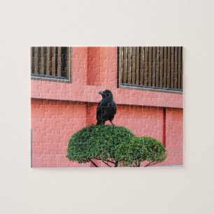 Ein riesiger Dschungel zieht sich auf einem Wolken Puzzle