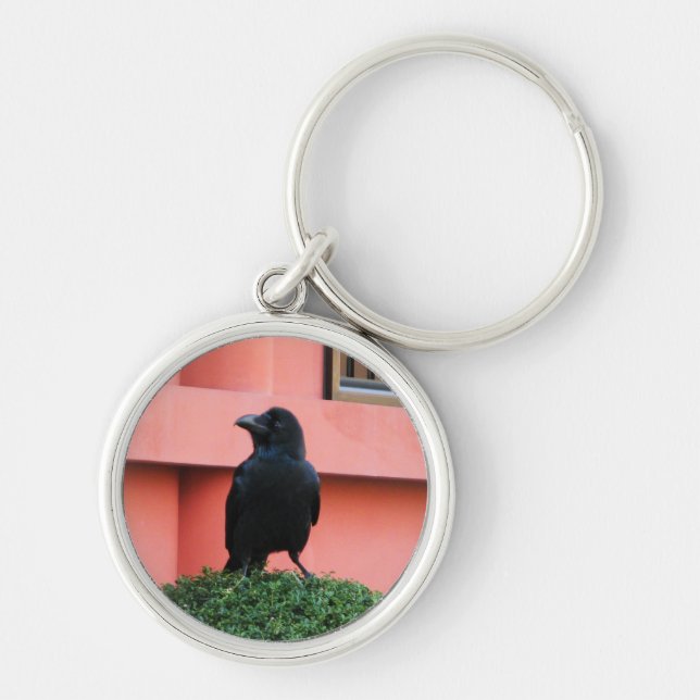 Ein riesiger Dschungel zieht sich auf einem Wolken Schlüsselanhänger (Vorne)