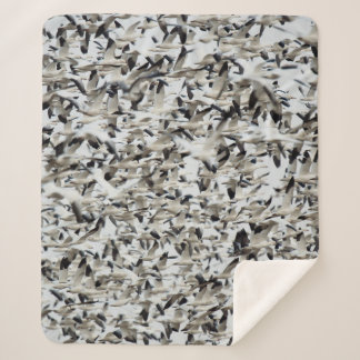 EIN RIESIGER SCHNEEFLOCK, IN DEM SICH GÄSE ZUSAMME SHERPADECKE