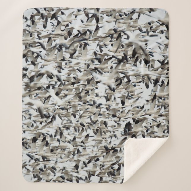 EIN RIESIGER SCHNEEFLOCK, IN DEM SICH GÄSE ZUSAMME SHERPADECKE (Vorderseite)