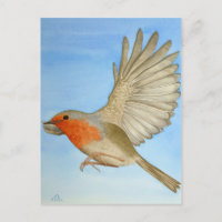 Ein Robin