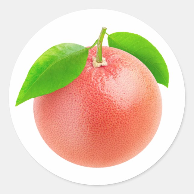 Ein rosa Grapefruit Runder Aufkleber (Vorderseite)
