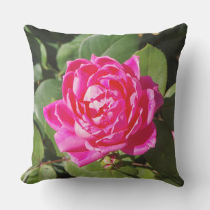 Ein rosa Rosenkissen Kissen