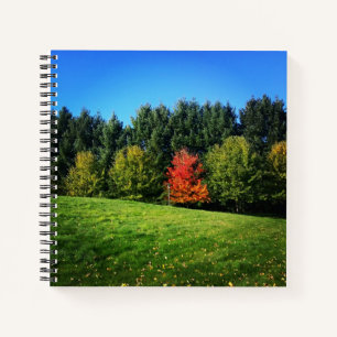 Ein Roter Baum Notizbuch
