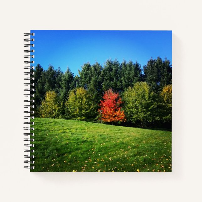 Ein Roter Baum Notizbuch (Vorderseite)