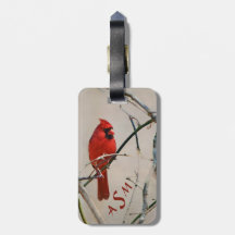 Ein roter Kardinals-Vogel auf einer Niederlassung