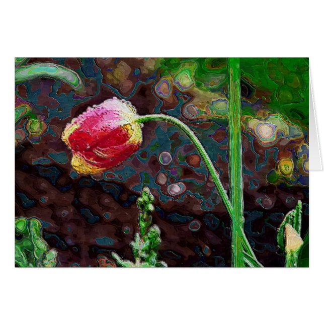 Ein roter Papagei (Vorderseite (Horizontal))