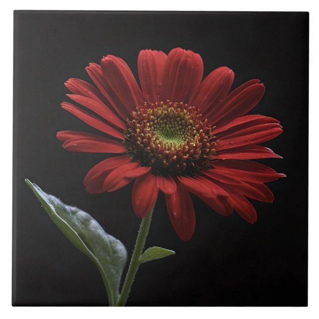 ein roter Schwanz auf schwarz Links Seite, Fliese (Vorderseite)