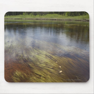 Ein ruhiger Teich, der die Wolken reflektiert Mousepad
