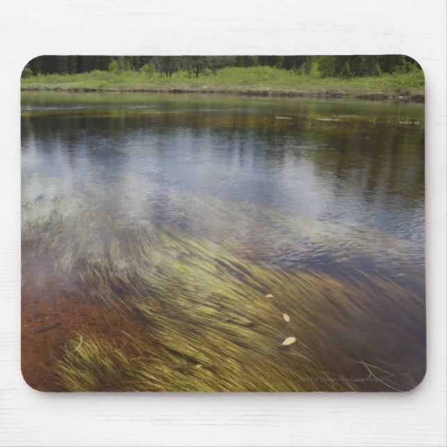 Ein ruhiger Teich, der die Wolken reflektiert Mousepad (Vorne)