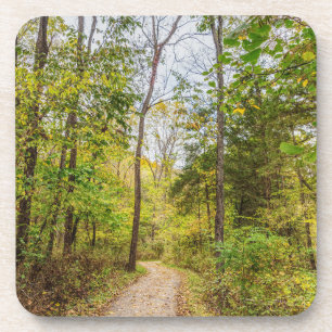 Ein Runge-Spaziergang im Herbst Getränkeuntersetzer