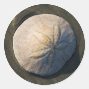 Ein Sand Dollar am Strand Runder Aufkleber