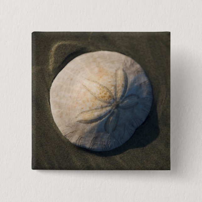 Ein Sand-Dollar auf dem Strand Button (Vorderseite)