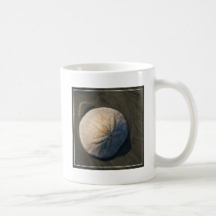 Ein Sand-Dollar auf dem Strand Tasse