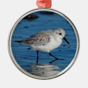 Ein sanfter Sandpiper am Strand Silbernes Ornament