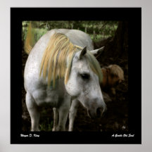 Ein sanftes altes Soul-Poster