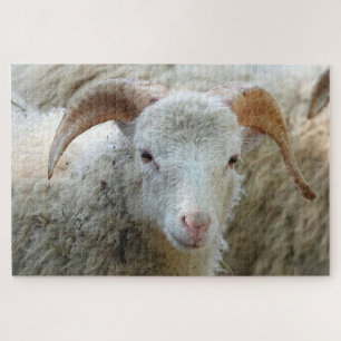 Ein Schaf mit Hörnern Puzzle
