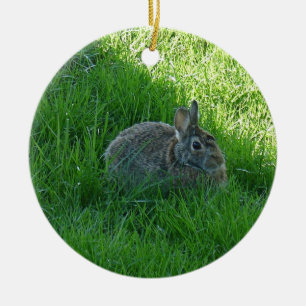 Ein schattiger Hase Keramikornament