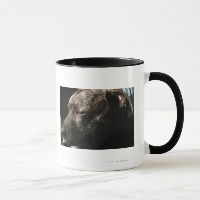 Ein SchlafenPitbullhund Tasse (Rechts)
